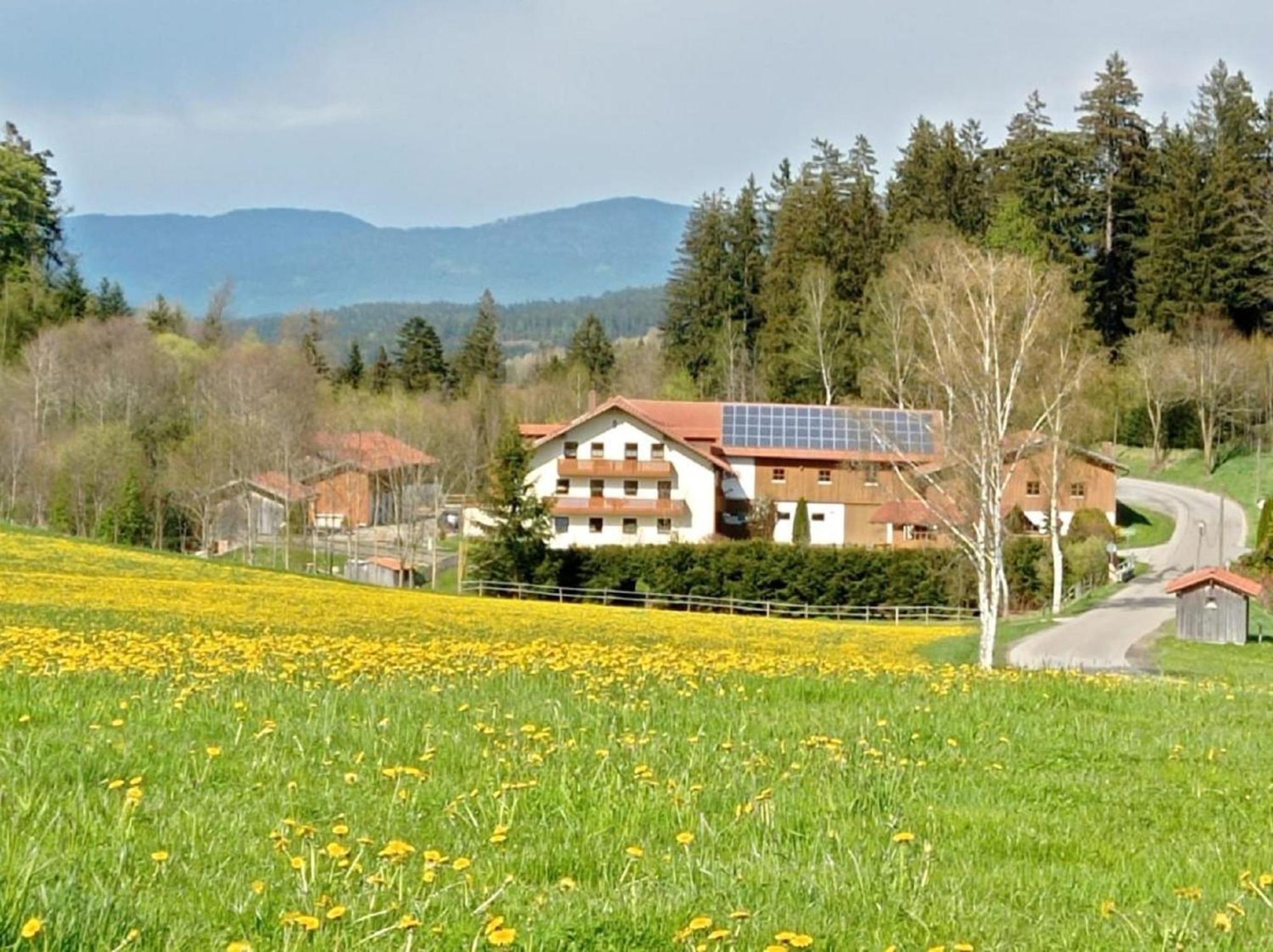 Ferienbauernhof Mehlbach Guest House Kollnburg Exterior photo