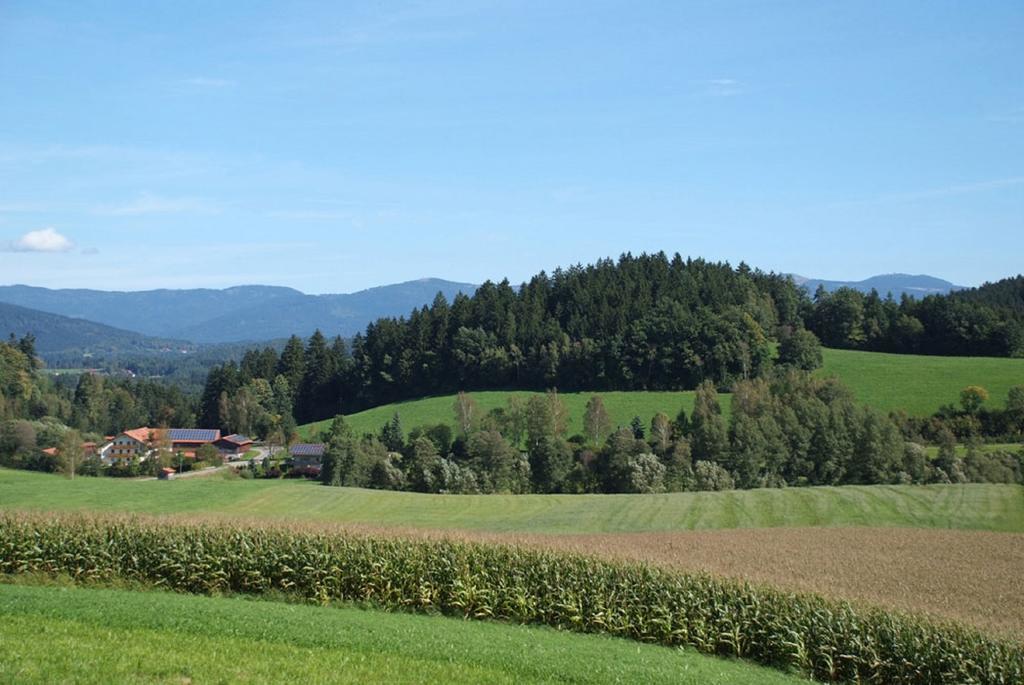 Ferienbauernhof Mehlbach Guest House Kollnburg Exterior photo